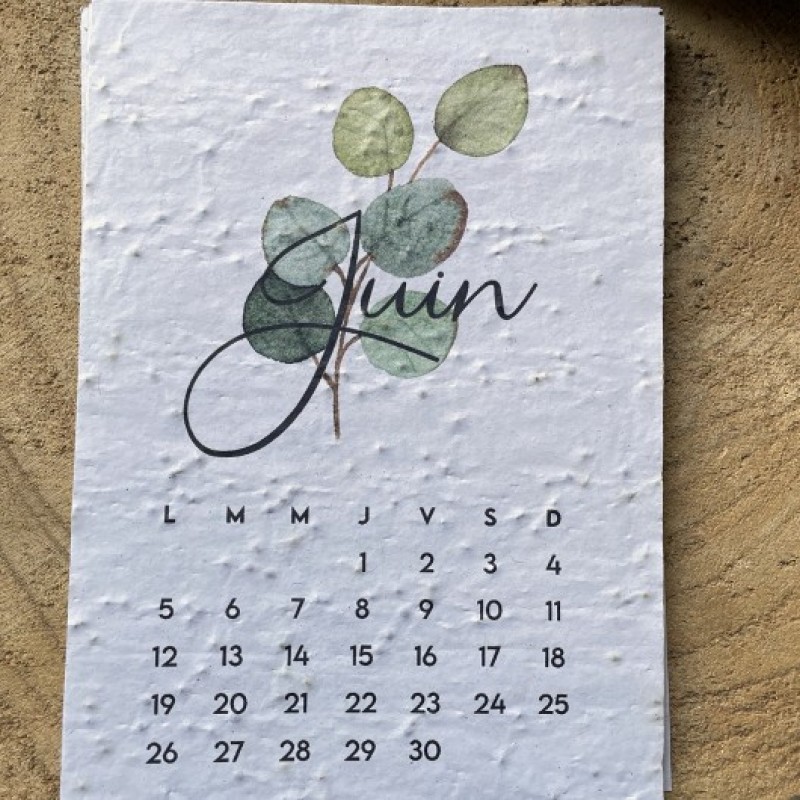2022 Calendar - seed paper - La Boîte à Cookies